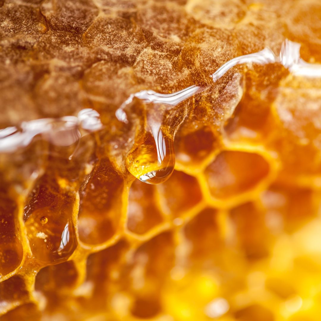 Beeswax