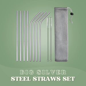 SaveItMom™ Reusable Stainless Steel Straws