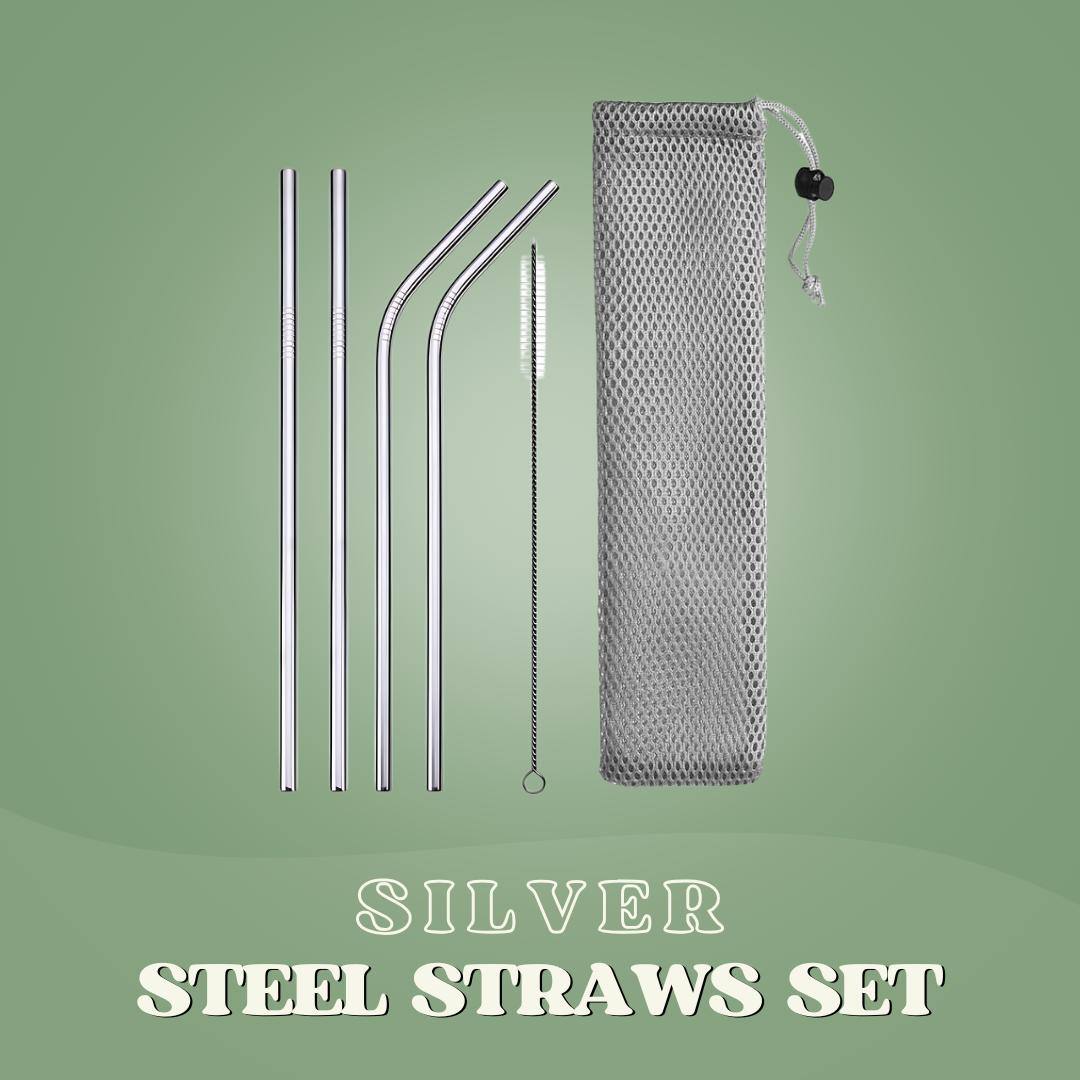 SaveItMom™ Reusable Stainless Steel Straws