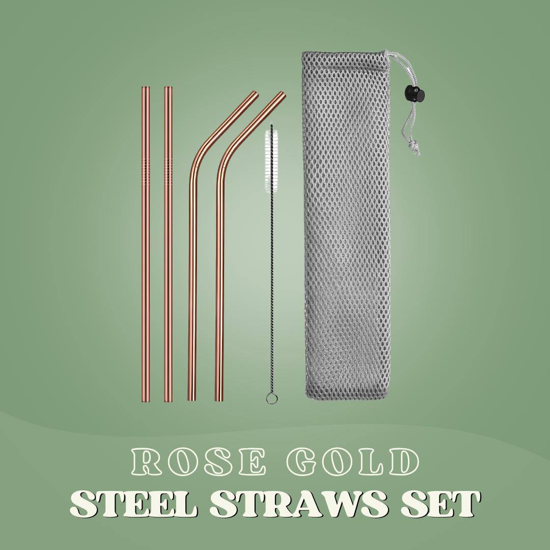 SaveItMom™ Reusable Stainless Steel Straws