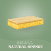 SaveItMom™ Eco Kitchen Sponges (10-pack)