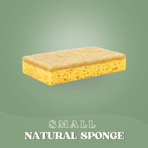 SaveItMom™ Eco Kitchen Sponges (10-pack)