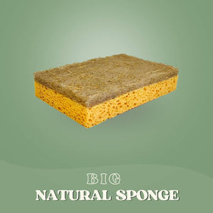 SaveItMom™ Eco Kitchen Sponges (10-pack)